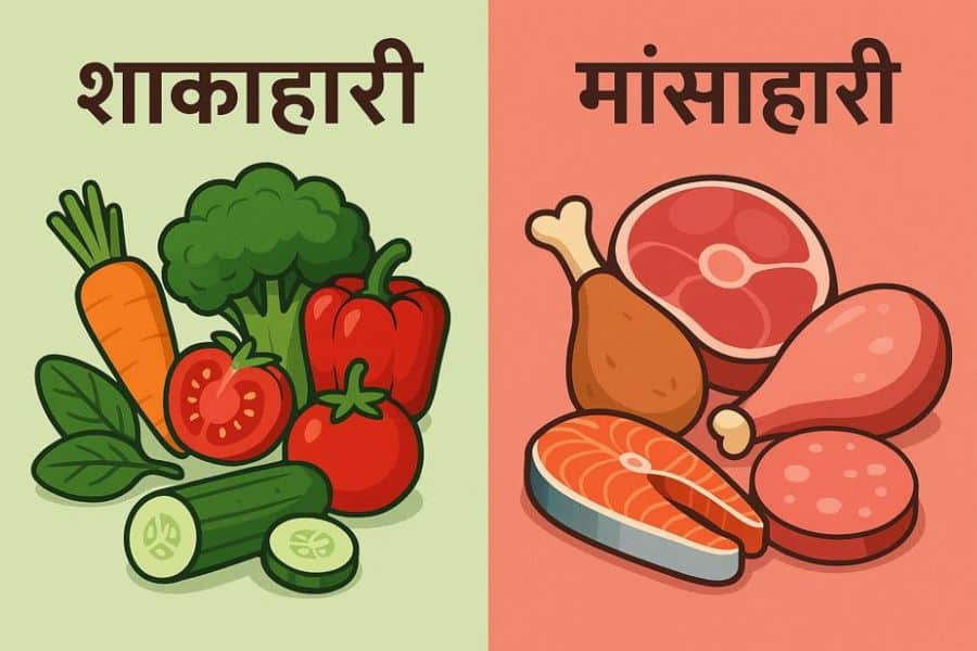 शाकाहारी vs मांसाहारी